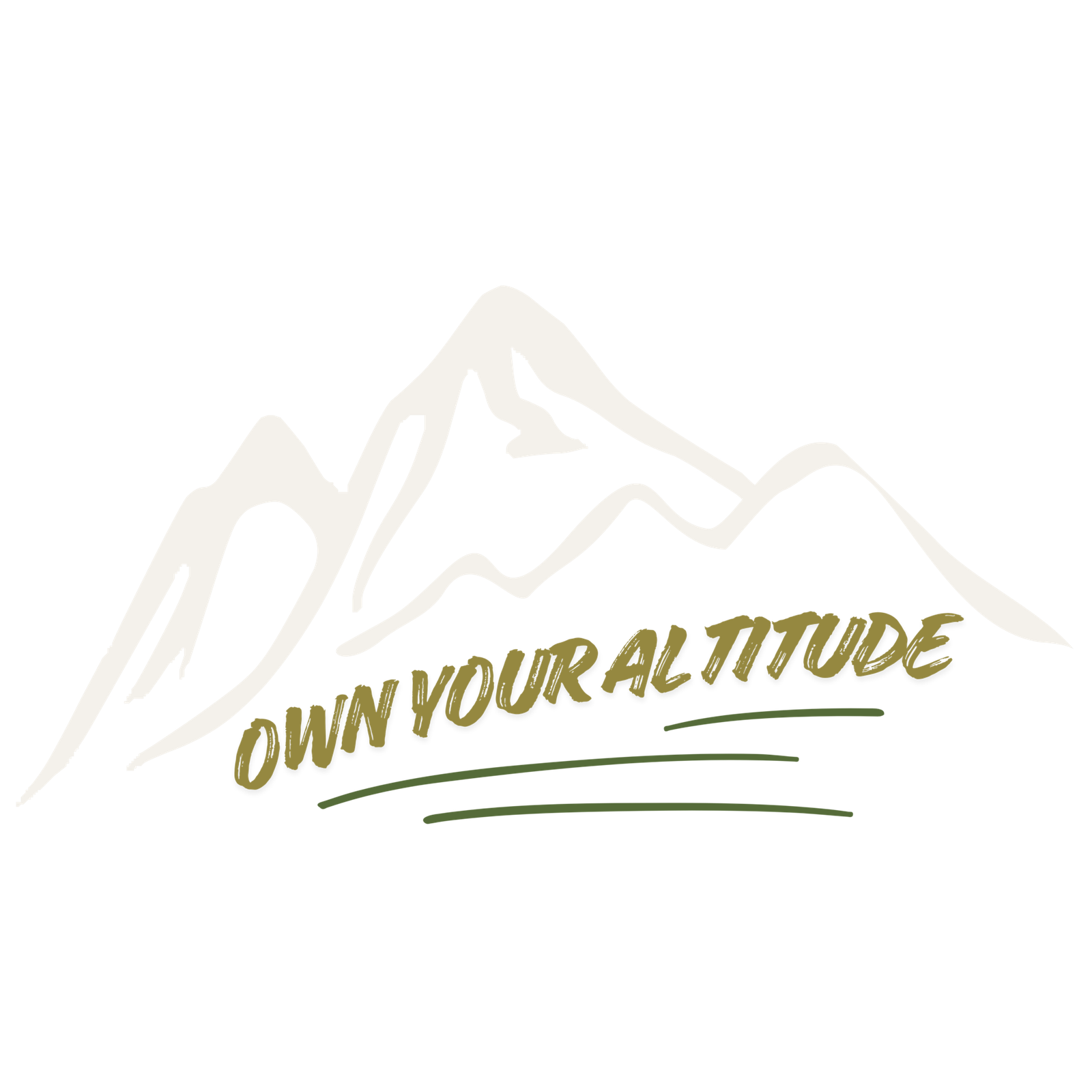 own your altitude dark tee 1