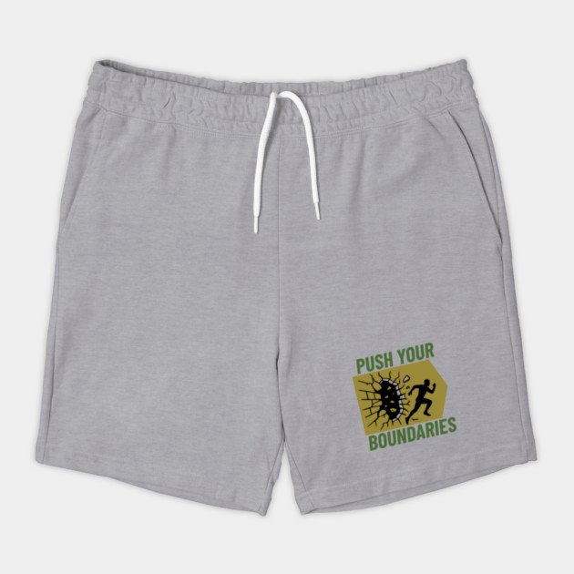 s pyb v1.1 grey