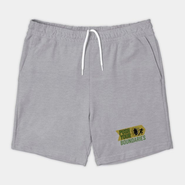 s pyb v2.1 grey